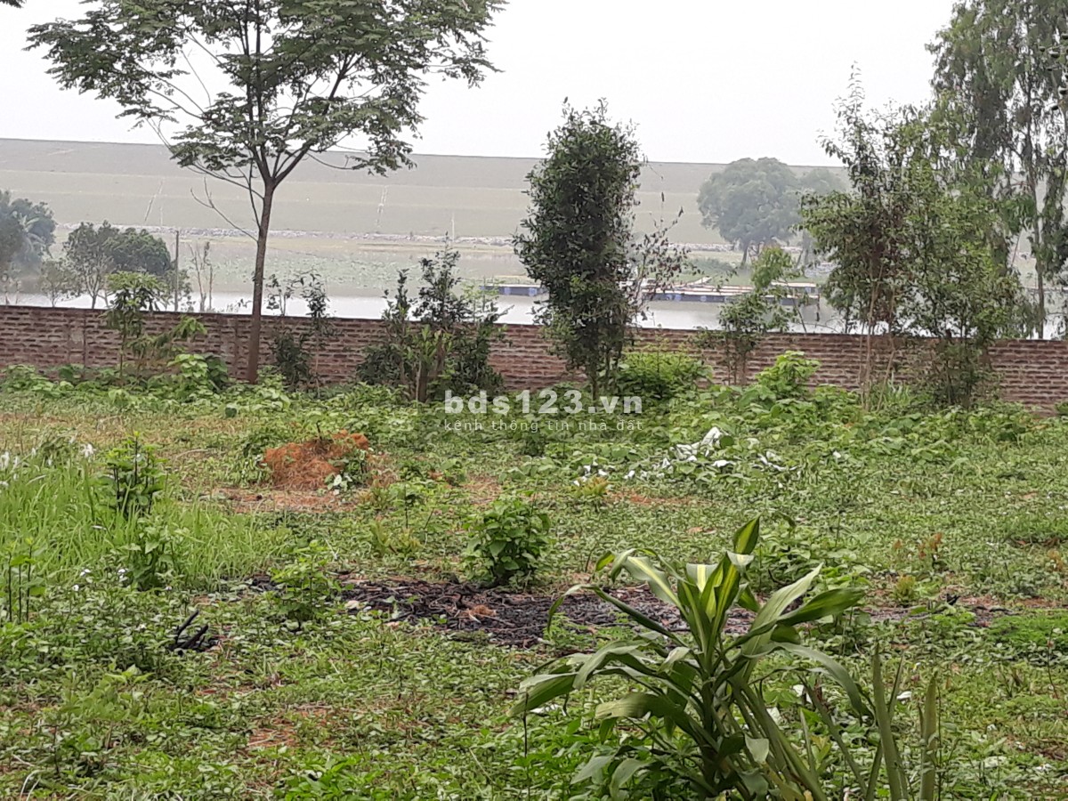 Chính chủ bán đất sổ đỏ, view hồ sen - Đồng Mô - Kim Sơn, Sơn Tây, Hà Nội