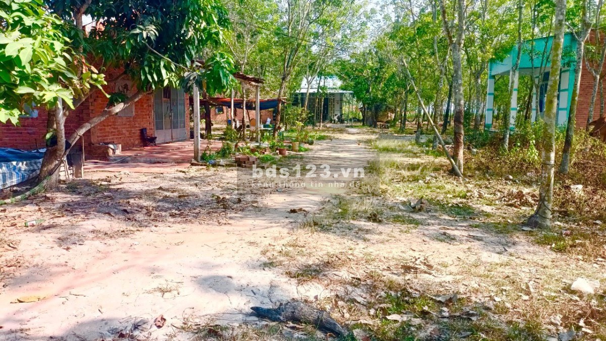 Chính chủ có việc cần bán gấp lô đất ở Châu Thành