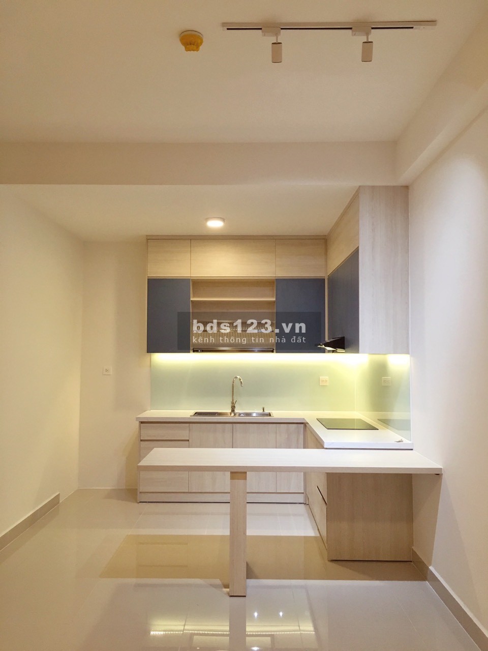 Giỏ hàng 100% căn hộ cho thuê 2PN Nội thất cơ bản The Sun Avenue Quận 2