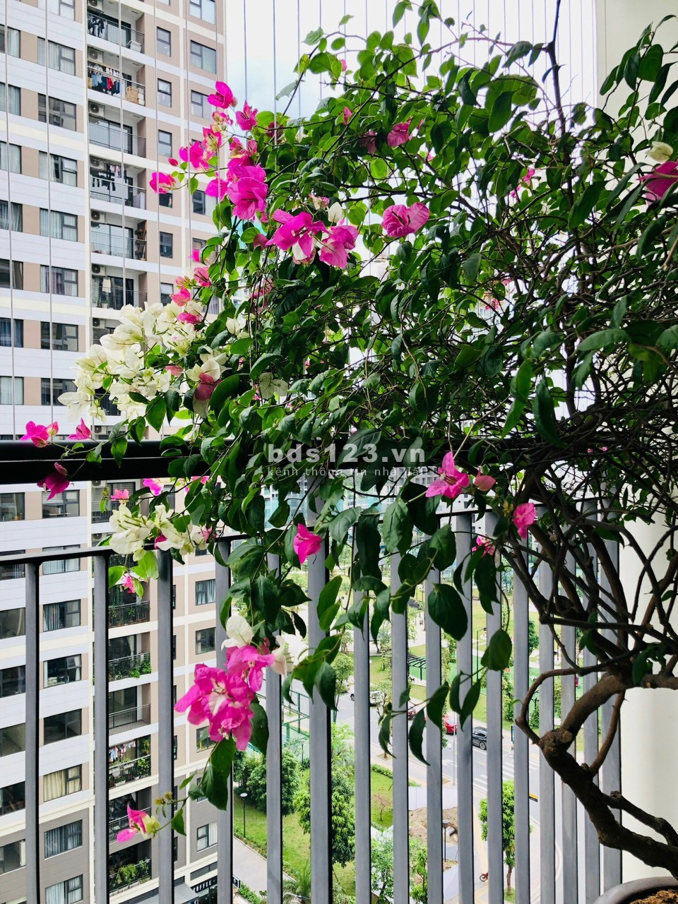 Bán căn hộ 2pn1vs dt 60m, full nội thất chỉ 1,54 tỷ, view thoáng mát tại Vinhomes OCP 0974878742