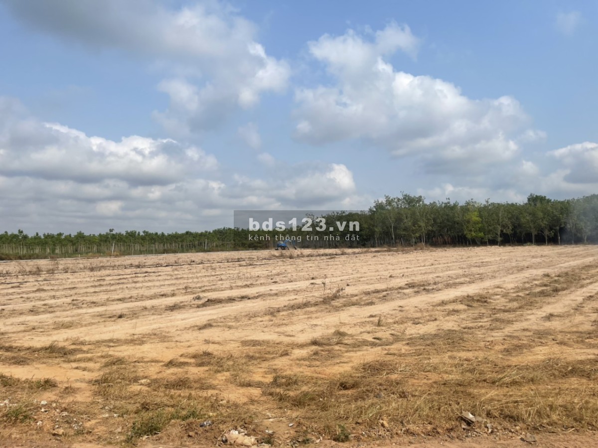 Bán đất vườn hơn 1 sào, sinh lợi từng ngày, cơ hội đầu tư cho KH với 460 triệu