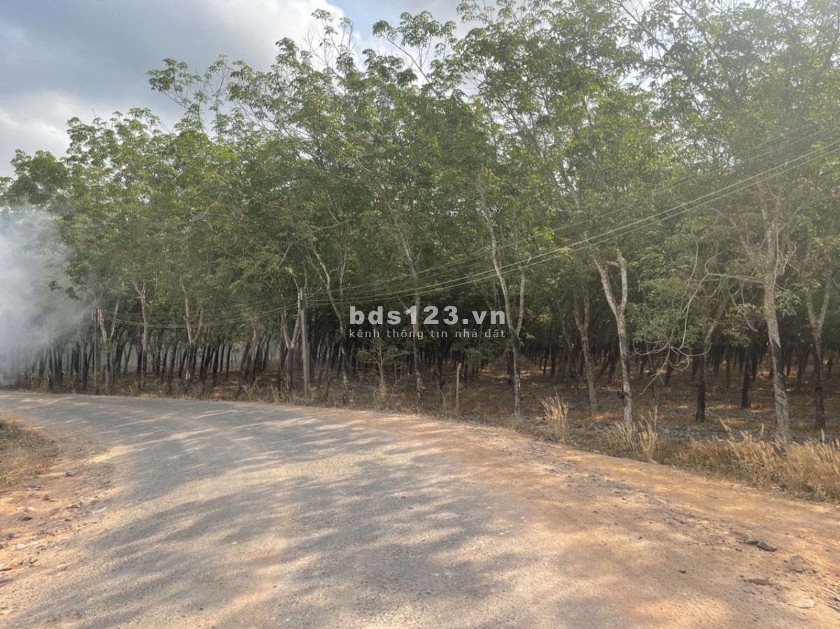 Bán đất vườn hơn 1 sào, sinh lợi từng ngày, cơ hội đầu tư cho KH với 460 triệu
