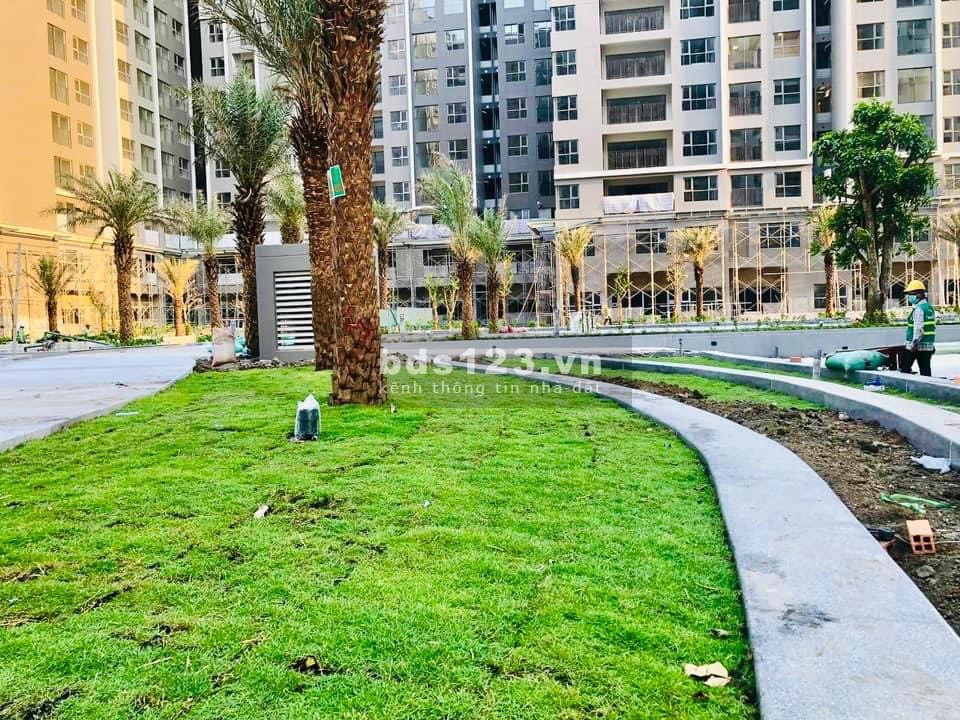 Mở bán giai đoạn nhận nhà với những căn đẹp nhất dự án Emeral Golf View .10% nhận nhà và khai thác