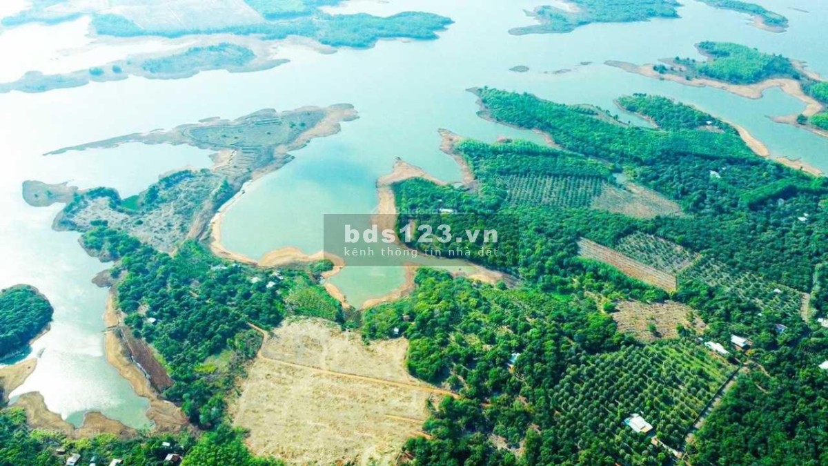 Bán đất view hồ chỉ 260 triệu/1.000 M2 Lộc Quang, Lộc Ninh, Bình Phước