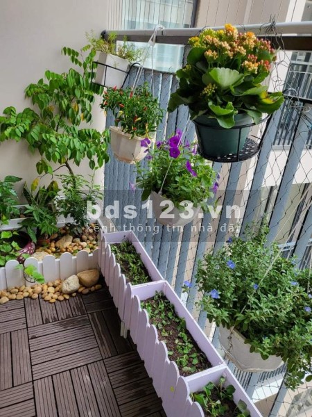 Bán gấp căn góc 70m2,gồm 2PN,2VS giá 1,870 triệu tại Vinhomes Ocean Park