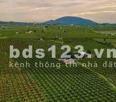 Bán đất sổ hồng riêng, trích lục địa chính thửa đất mới nhất. Gía tốt so với các lô vị trí
