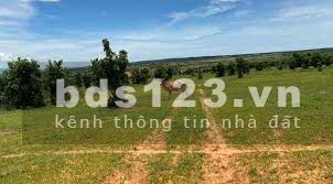 Bán đất sổ hồng riêng, trích lục địa chính thửa đất mới nhất. Gía tốt so với các lô vị trí