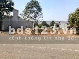 Chủ cần bán lô đất 10x30m đã tách 2 sổ chỉ 1,2 tỷ/lô ngay Bến Cát