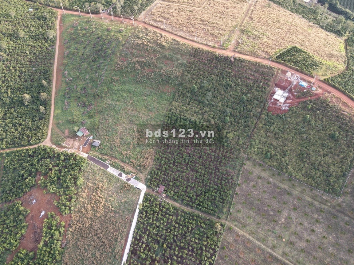 Cần bán lô 2100m2 full thổ cư, thôn 4 xã Lộc Tân, giá chỉ 4.5tr/m2 còn thương lượng