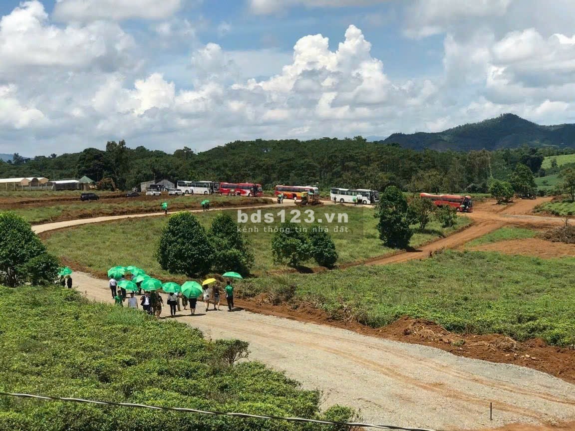 Cần bán lô 2100m2 full thổ cư, thôn 4 xã Lộc Tân, giá chỉ 4.5tr/m2 còn thương lượng
