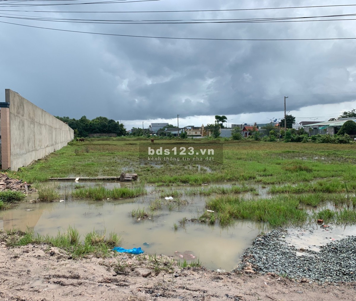 Chủ Hạ 400Tr cho lô đất (253m2) full thổ cư kế bên trường cấp 3 Thị Trấn Đức Hoà chỉ còn 3tỷ