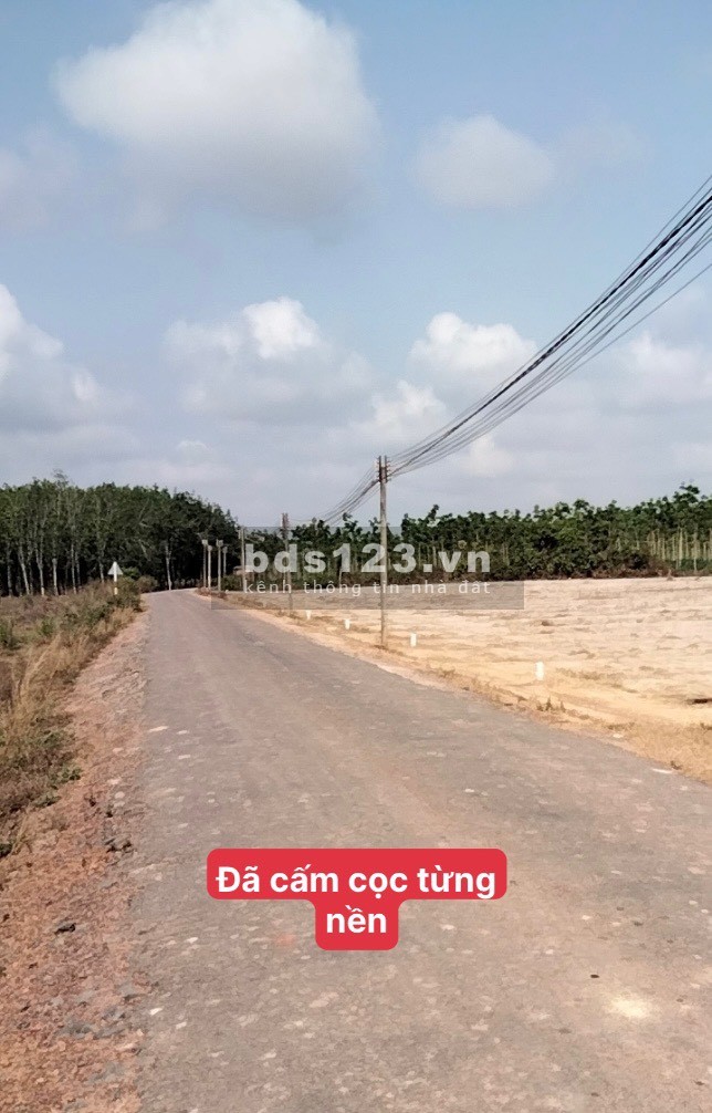 Sổ sẵn 7 nền đất xã hòa hiệp Tân Biên. Đường nhựa thông thoáng nhà nước QH20m SHR