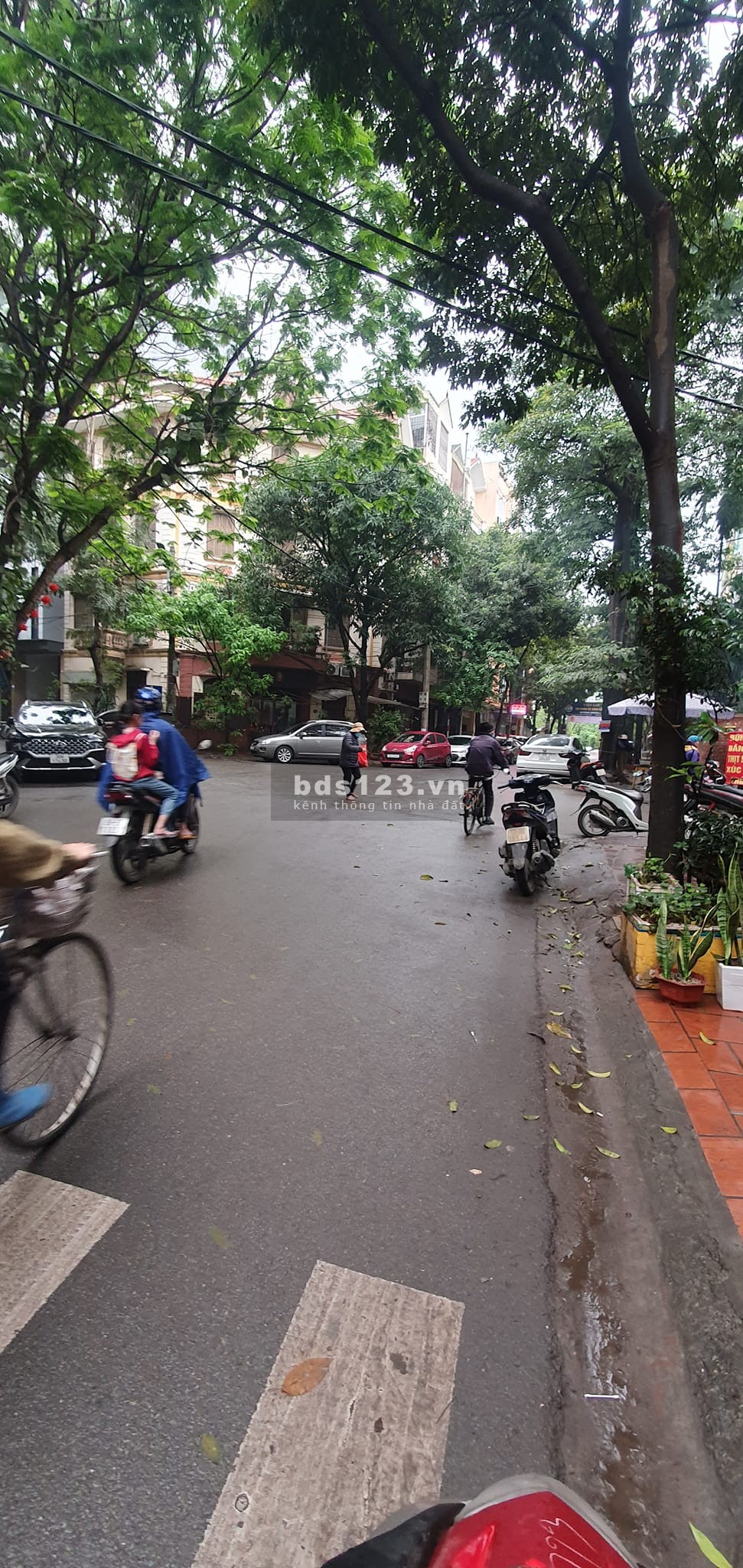 PHÂN LÔ PHẠM THẬN DUẬT MAI DICH CẦU GIẤY 12.8TỶ 56M OTO VIA HE KINH DOANH.