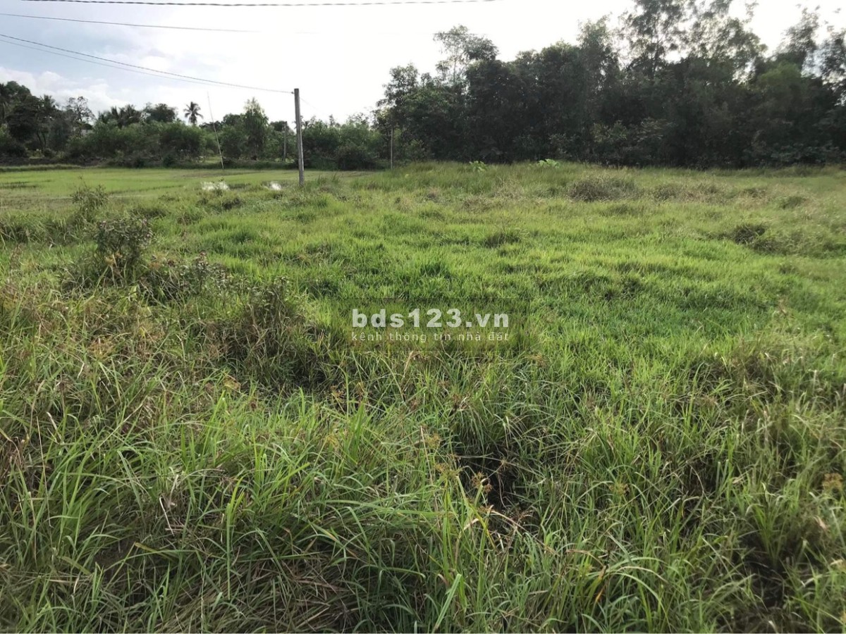 Đất Hựu Thạnh- Đức Hoà 120 m2 Thổ Cư. 650tr.