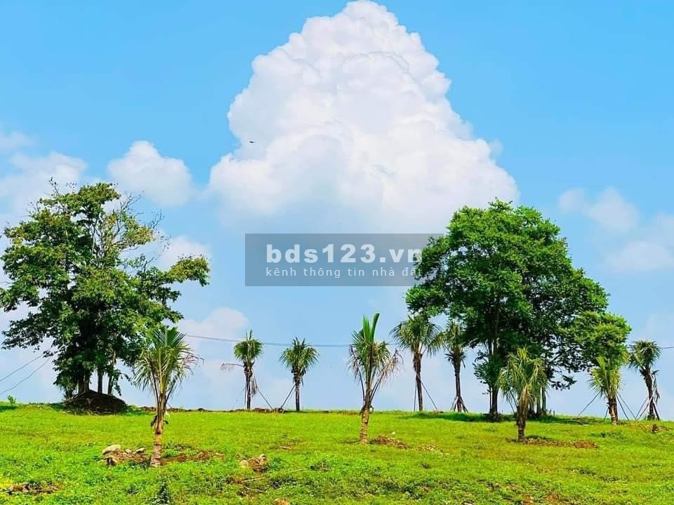 Giá thật 100% bất động sản view hồ nghĩ dưỡng chỉ 260 triệu/1000M2