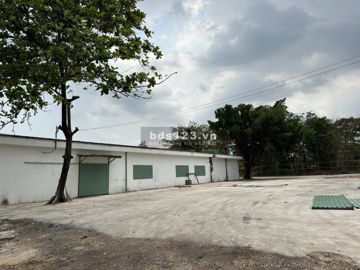 Cho thuê kho bãi giá rẻ ngay cổng KCN TÂN BÌNH từ 300 đến 10.000m2
