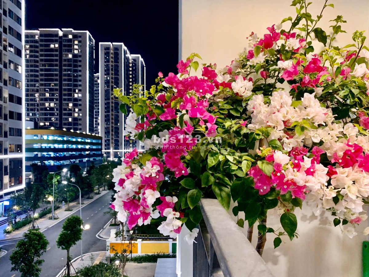 Bán căn góc 3PN 90m tòa GS1 view bể bơi Vinhomes Smart City giá 3.88 Tỷ