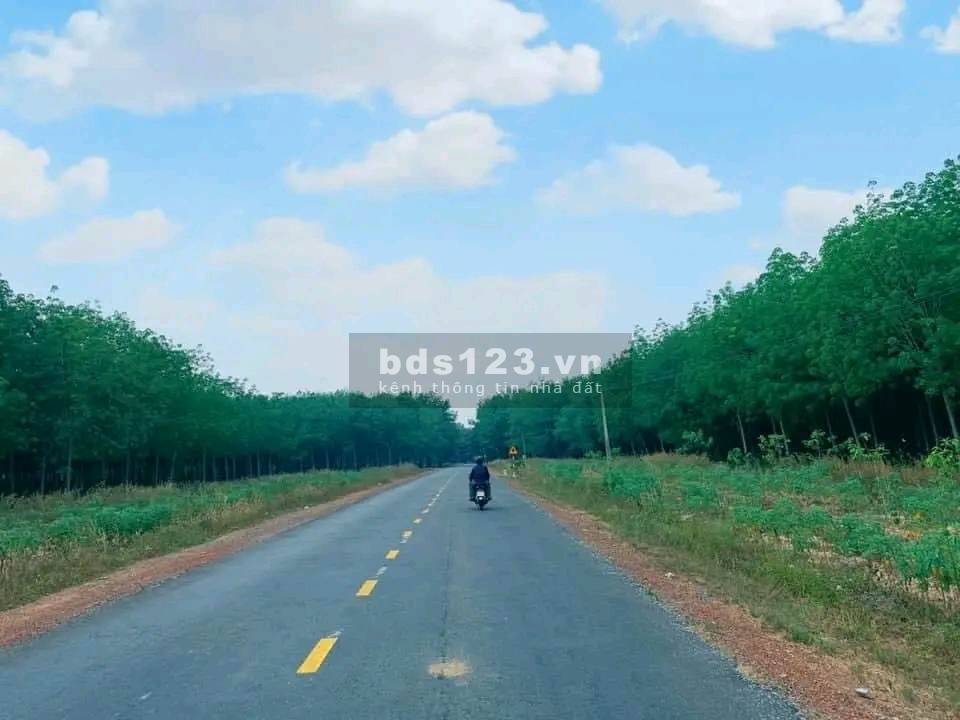 Chính chủ cần bán lô đất thổ cư Tân Hiệp