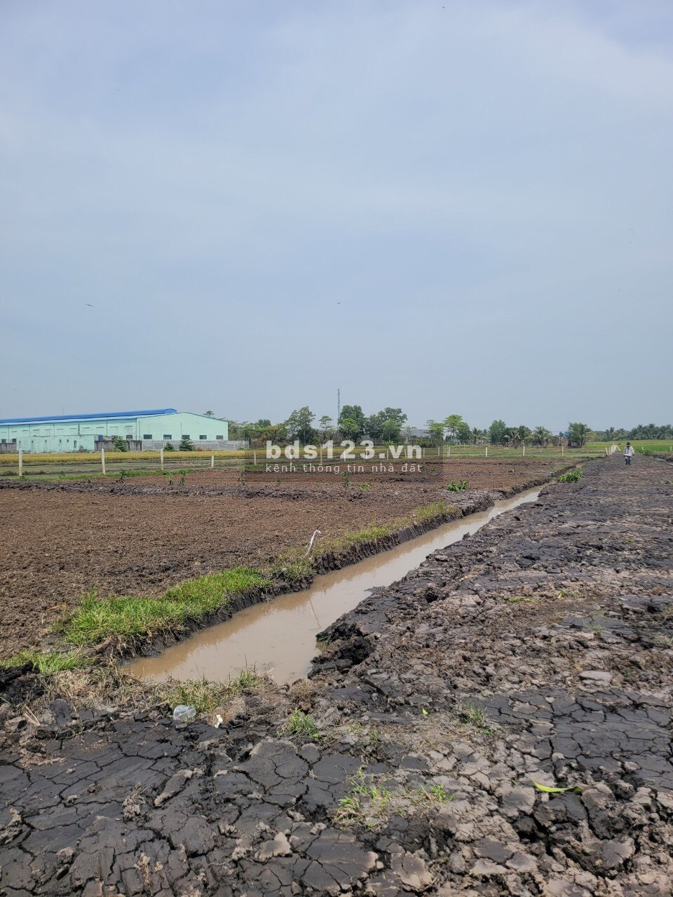 Bán đất vườn Phước Thạnh - Củ Chi, 500m2 chỉ 2,7tr/m2, sổ sẵn công chứng ngay