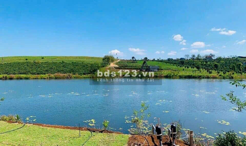 Bán gấp 1000m2 đất phúc thọ - lâm hà, chỉ 1,8tr/m2 sổ riêng. mua bán ngay.