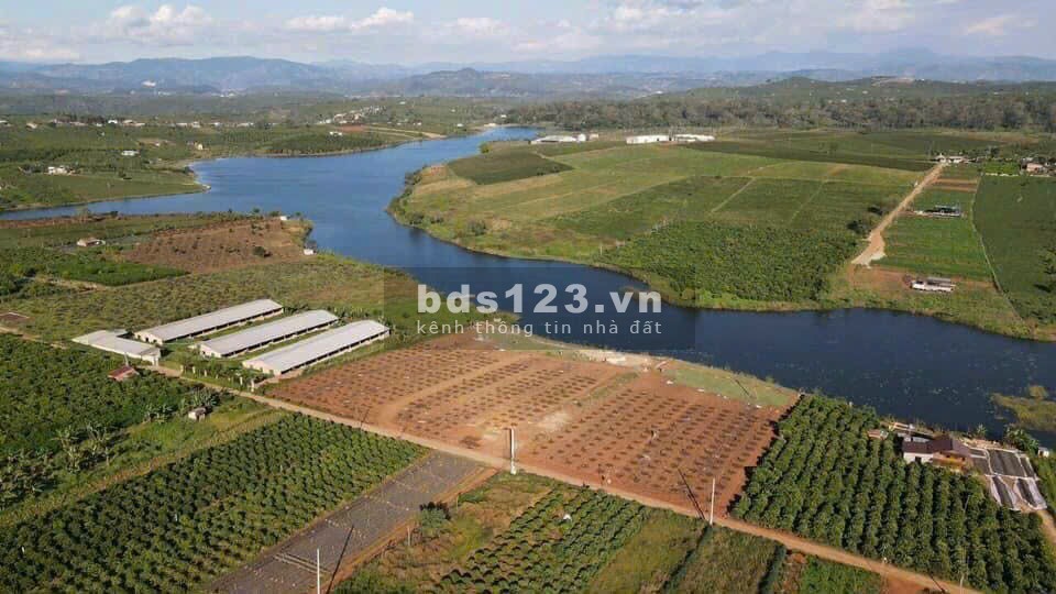 Bán gấp 1000m2 đất phúc thọ - lâm hà, chỉ 1,8tr/m2 sổ riêng. mua bán ngay.