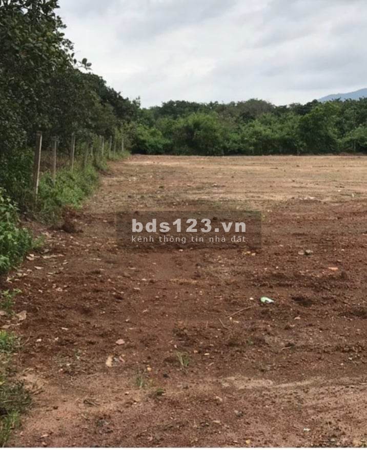 Bán đất lô cực rẻ, đại hạ giá cho các nhà đầu tư.