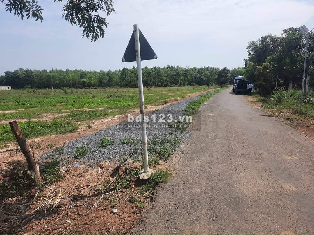 Nợ ngân hàng cần bán lô đất 300m2 đường nhựa 12m