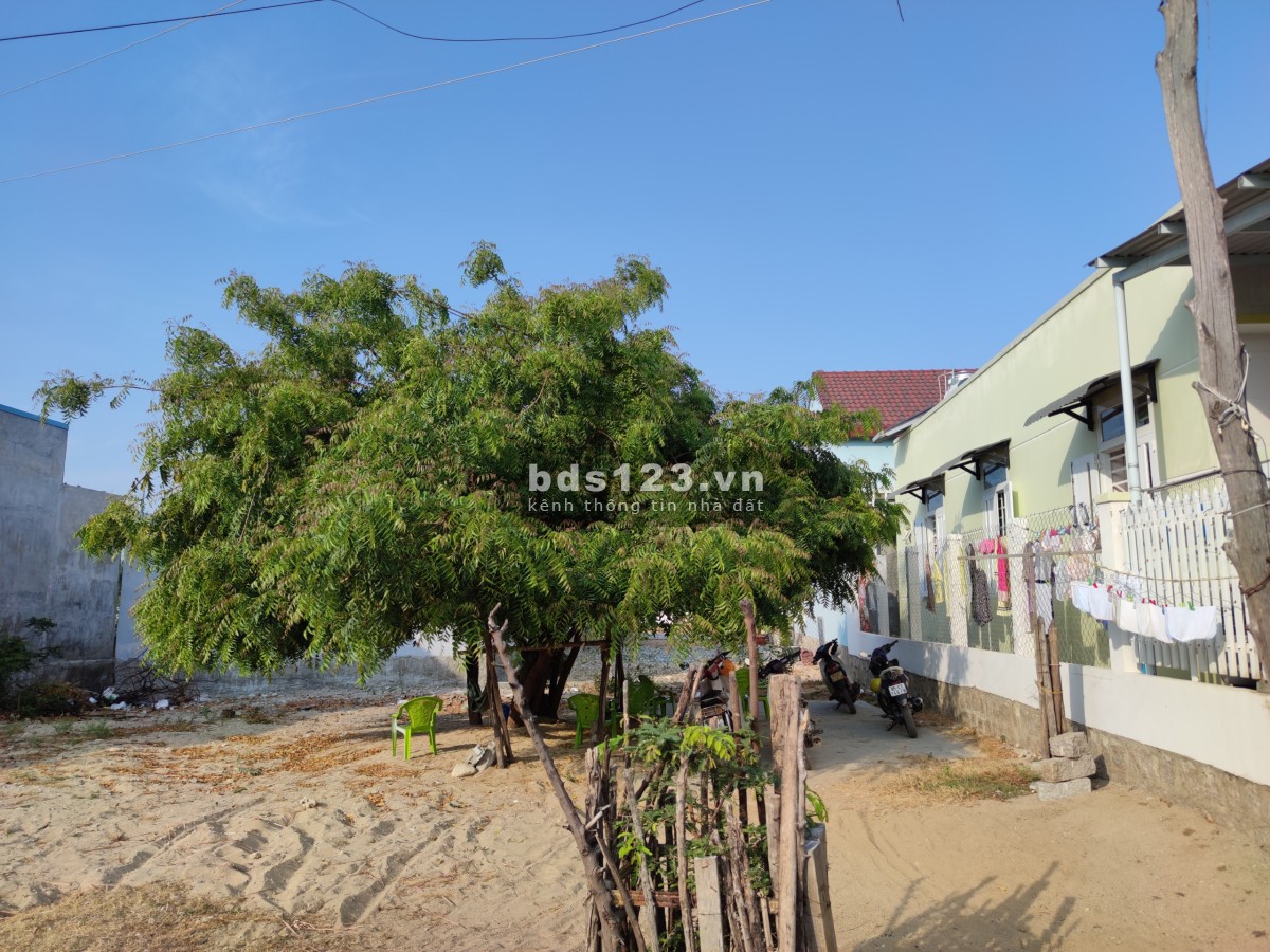 Bán đất thổ cư mặt tiền 8m, chỉ 4 phút ra tới bãi tắm Ninh Chữ - Ninh Thuận. Giá cắt lỗ