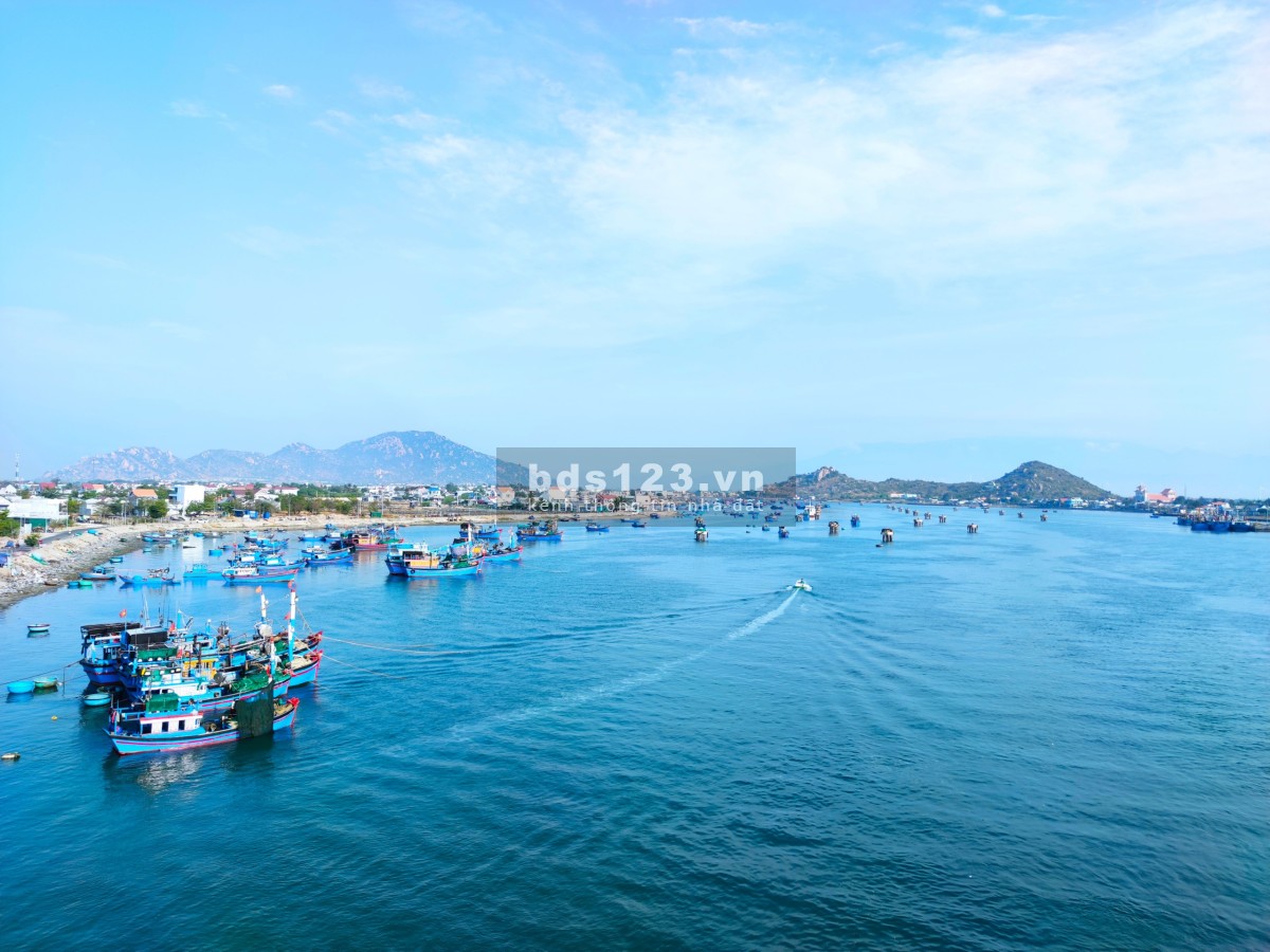 Bán đất thổ cư mặt tiền 8m, chỉ 4 phút ra tới bãi tắm Ninh Chữ - Ninh Thuận. Giá cắt lỗ
