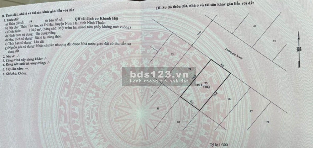 Bán đất thổ cư mặt tiền 8m, chỉ 4 phút ra tới bãi tắm Ninh Chữ - Ninh Thuận. Giá cắt lỗ
