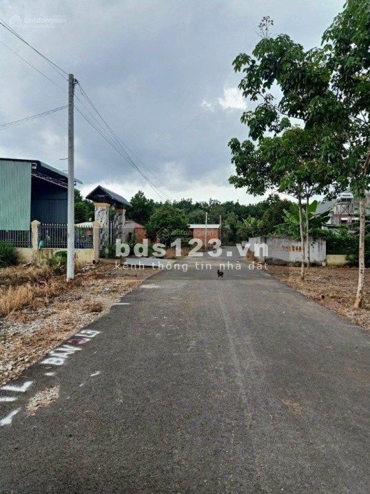 Bán đất ngay KCN 10x50m có 200m2 thổ cư đường nhựa 29m