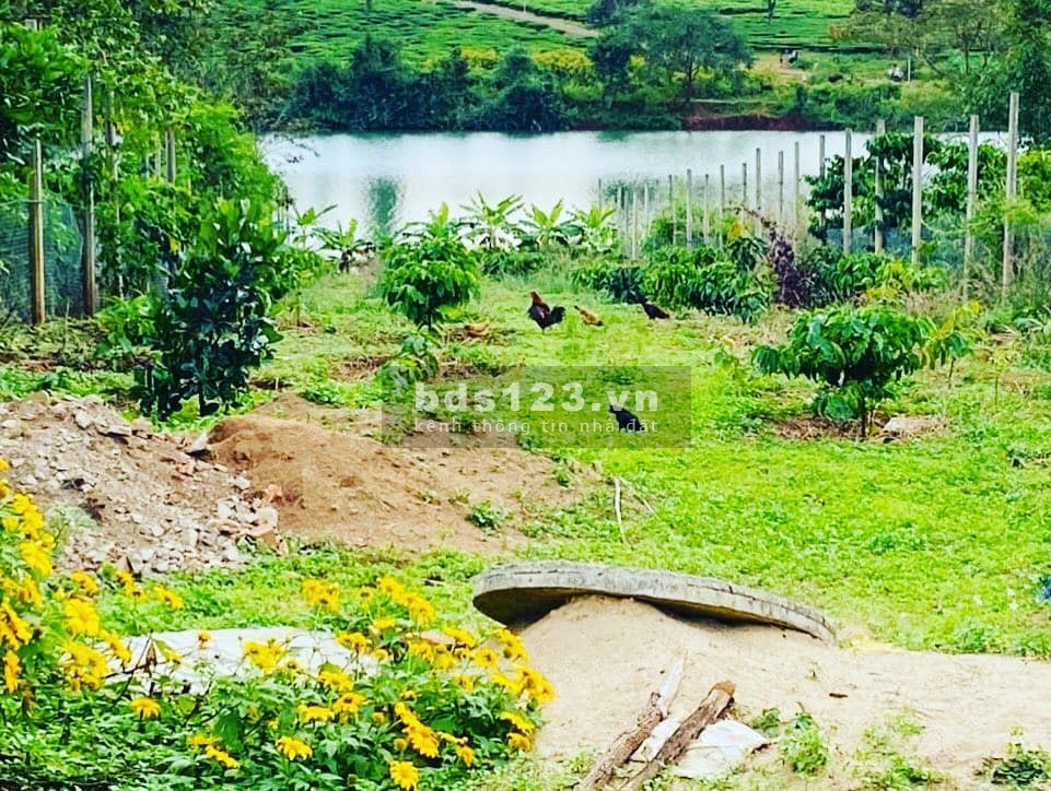 Bán lô đất 6x95 view hồ đường nhựa 8m trung tâm thị xã Nghĩa Hưng