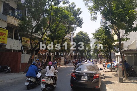 Chính chủ bán nhà mặt ngõ Đội Cấn gần Lăng Bác giá 25,5 tỷ, 220m. MT 11m, có thể bán 1/2