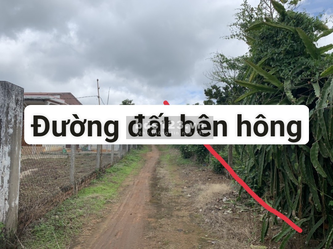 BÁN NHÀ ĐẤT VƯỜN CÓ THU NHẬP ỔN ĐỊNH MẶT TIỀN ĐƯỜNG BÊ TÔNG TẠI XÃ DLYÊ YA -KRÔNG NĂNG -DAKLAK