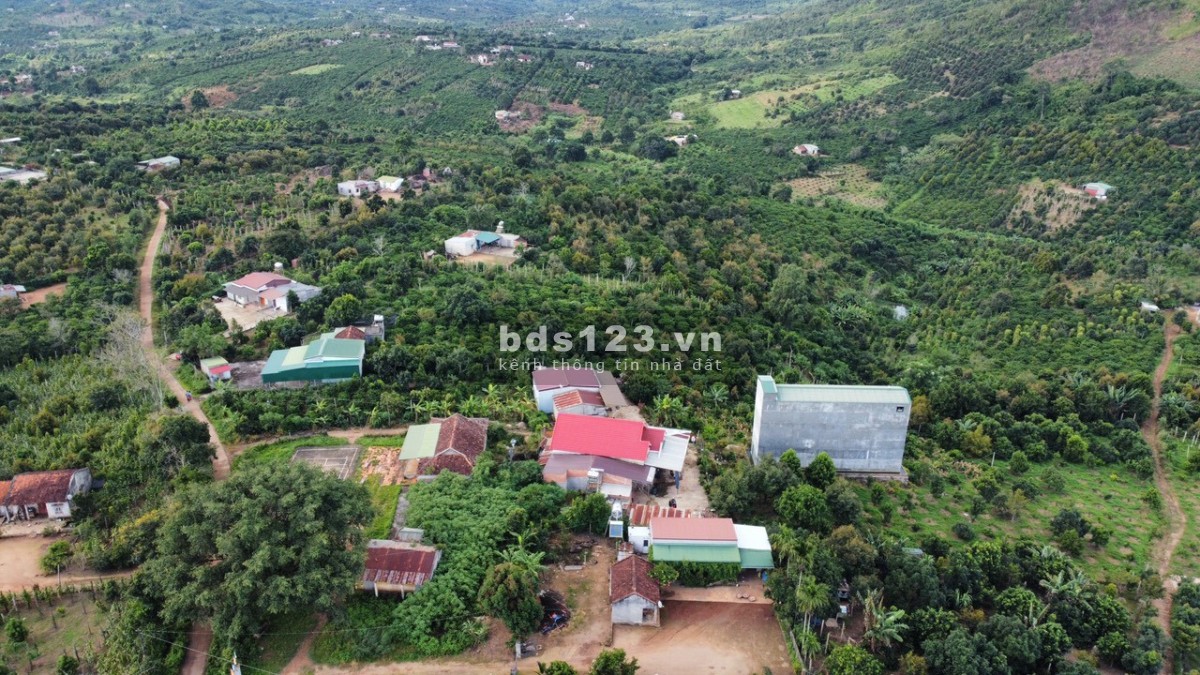BÁN NHÀ ĐẤT VƯỜN CÓ THU NHẬP ỔN ĐỊNH MẶT TIỀN ĐƯỜNG BÊ TÔNG TẠI XÃ DLYÊ YA -KRÔNG NĂNG -DAKLAK