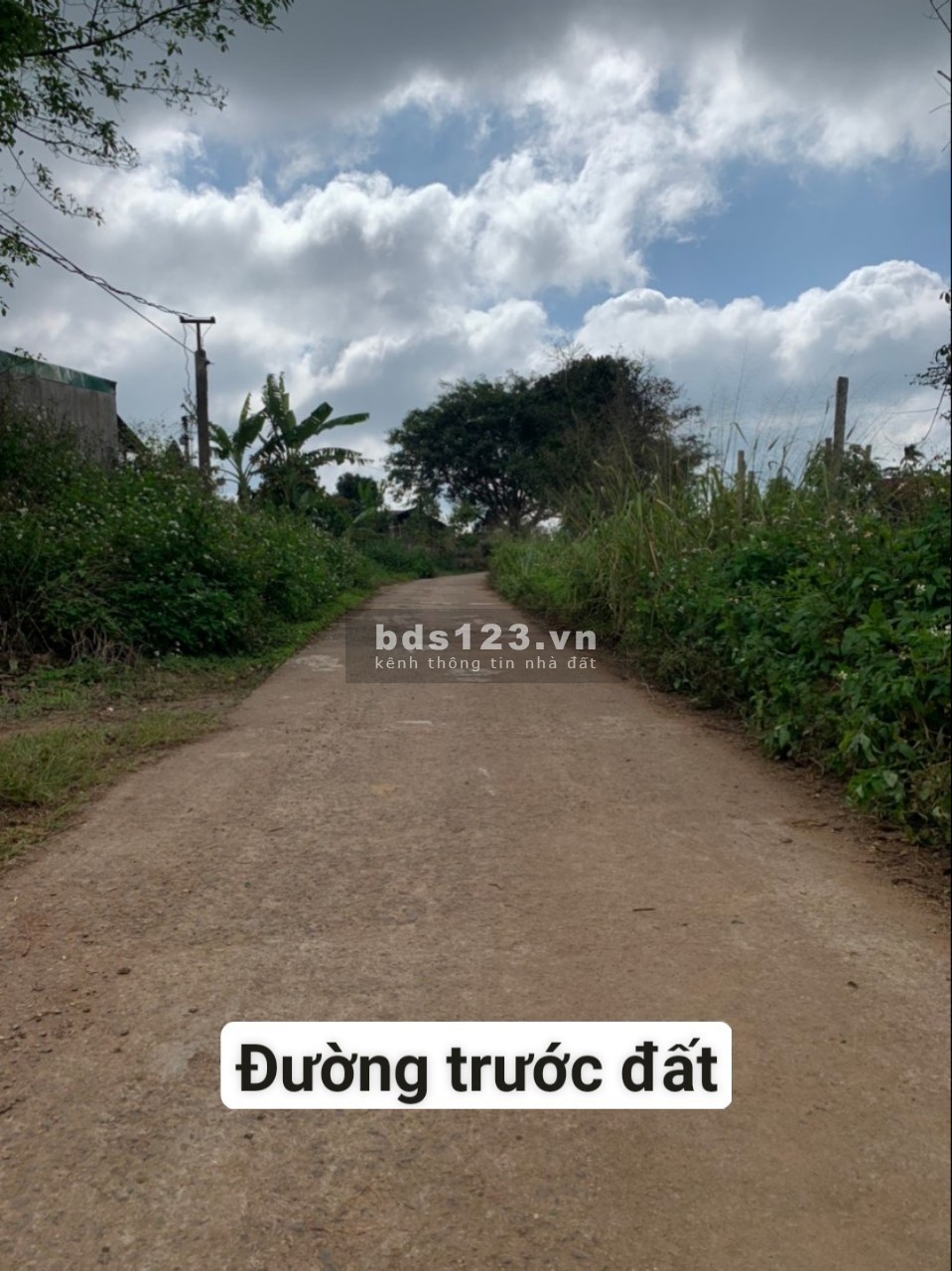 BÁN NHÀ ĐẤT VƯỜN CÓ THU NHẬP ỔN ĐỊNH MẶT TIỀN ĐƯỜNG BÊ TÔNG TẠI XÃ DLYÊ YA -KRÔNG NĂNG -DAKLAK