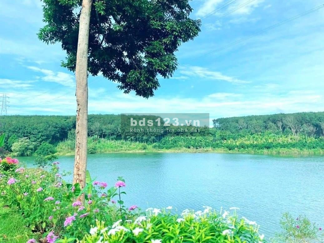 Bán đất giá thật 100% đất nền View Hồ Bình Phước chỉ 300tr/1000m2, Sổ đỏ cầm tay.
