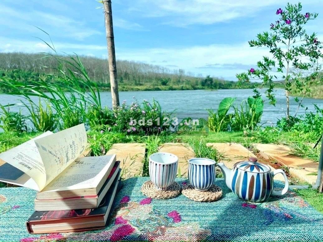 Bán đất giá thật 100% đất nền View Hồ Bình Phước chỉ 300tr/1000m2, Sổ đỏ cầm tay.