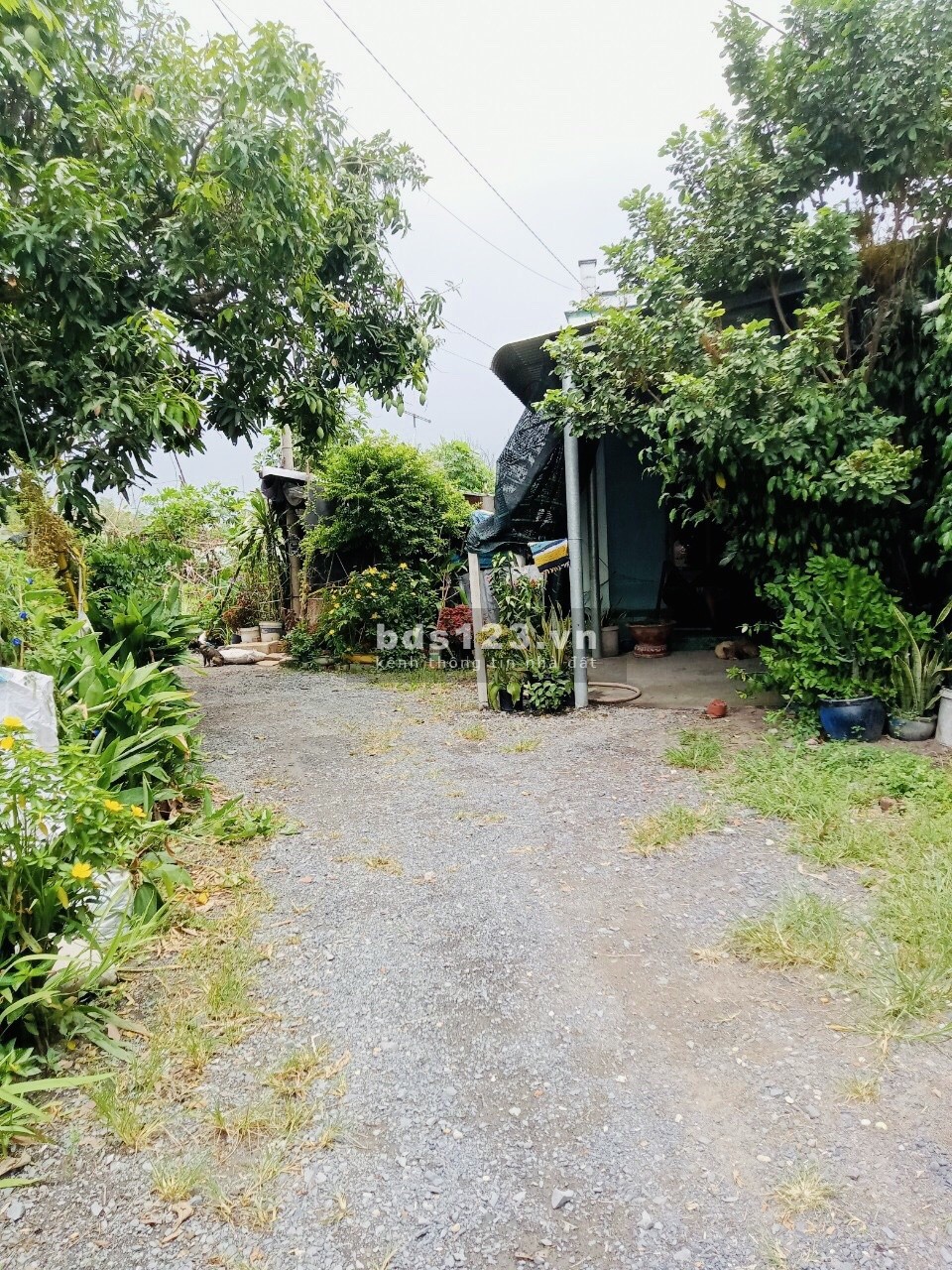 Tôi chính chủ bán đất Tân Phú trung ngay bệnh viện Xuyên Á, đường xe tải, 224m2, sổ riêng
