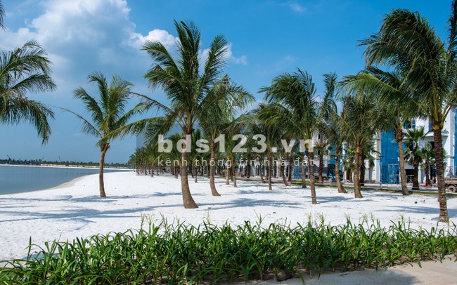 Cập nhật giá biệt thự Vinhomes Ocean Park Gia Lâm ngày 10/05/2023 (0985941715) giá từ 7.6 tỷ