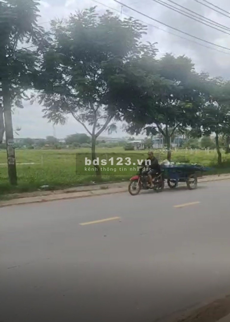 Bán đất mặt tiền diện tích 1665m2, ngang 53m mặt tiền đường Lại Hùng Cường, Vĩnh Lộc B, Bình Chánh