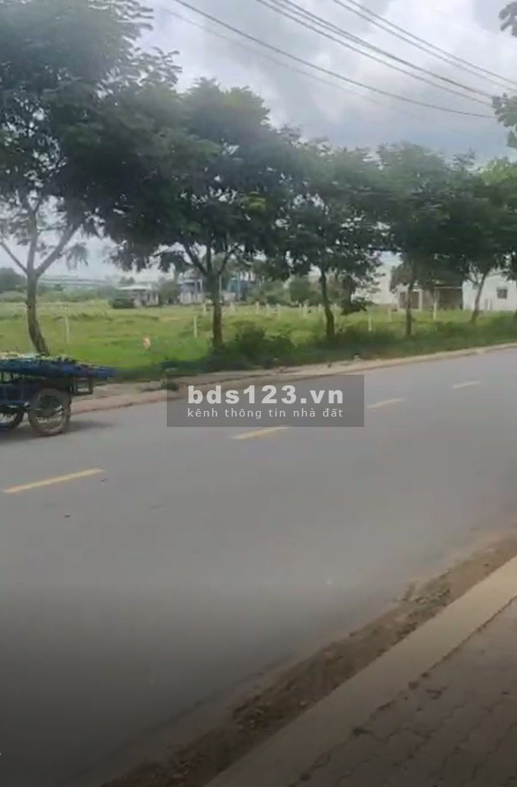 Bán đất mặt tiền diện tích 1665m2, ngang 53m mặt tiền đường Lại Hùng Cường, Vĩnh Lộc B, Bình Chánh