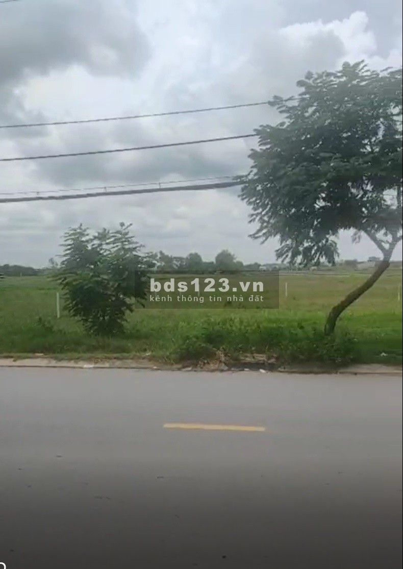 Bán đất mặt tiền diện tích 1665m2, ngang 53m mặt tiền đường Lại Hùng Cường, Vĩnh Lộc B, Bình Chánh