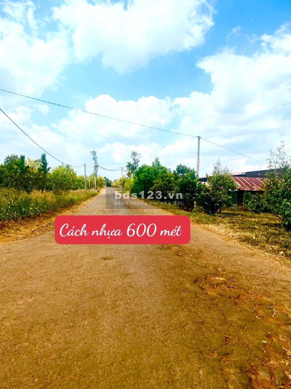 Bán đất giá rẻ full sổ hồng đã đăng kí lên TC.Tại xã Ea Dăh -Krông Năng - Daklak