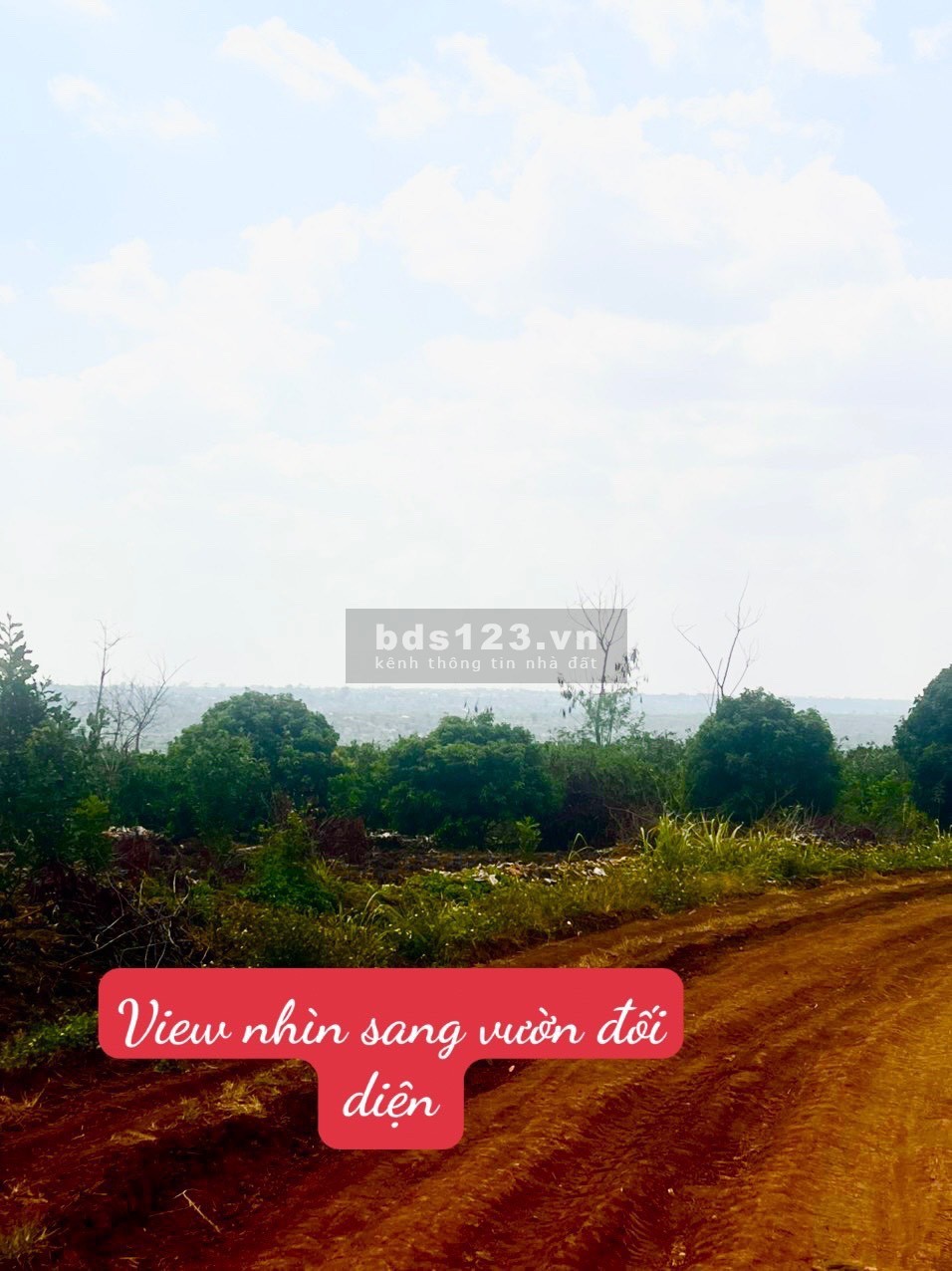 Bán đất giá rẻ full sổ hồng đã đăng kí lên TC.Tại xã Ea Dăh -Krông Năng - Daklak