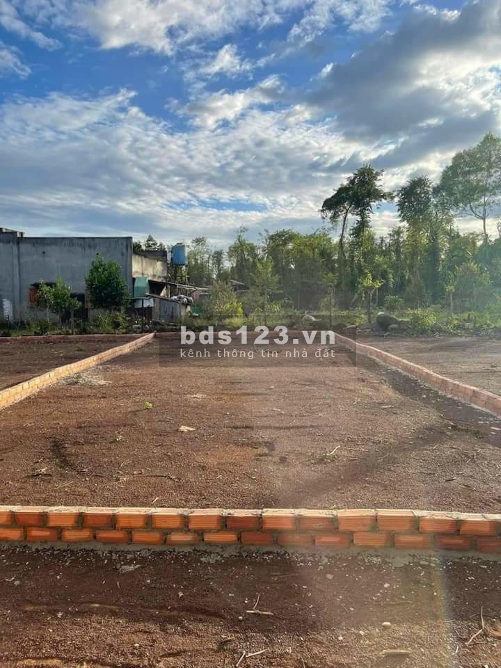 Phá sản cần bán đất trả nợ gấp gấp