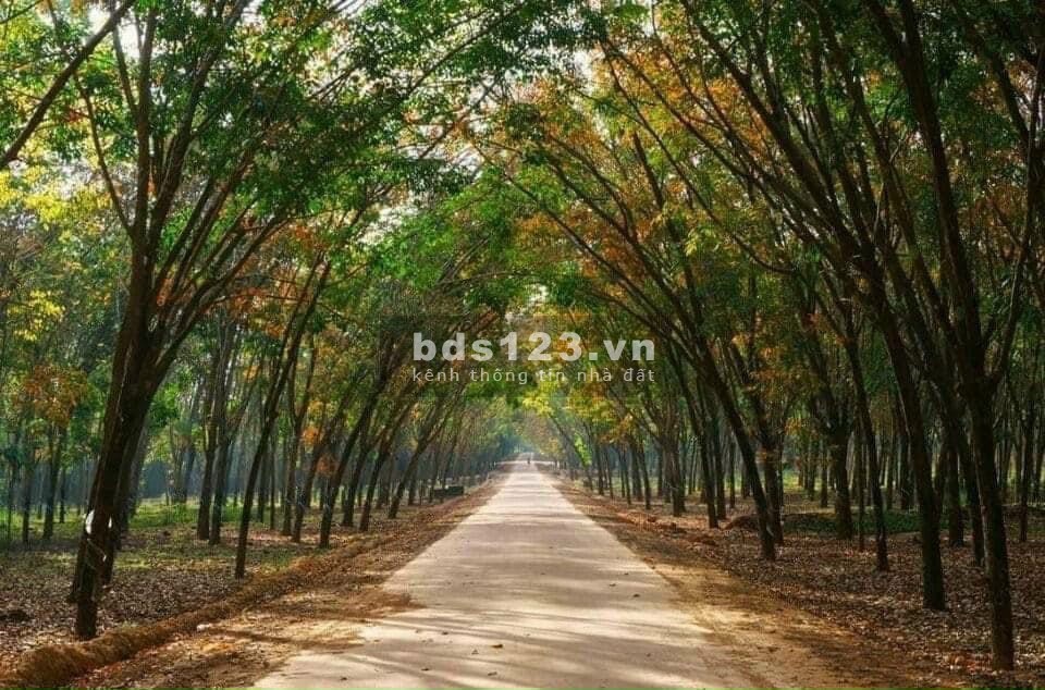 Bán đất vườn sổ đỏ gần hồ Trị An, 1100m2, giá chỉ 1.1 triêu/m2. Đường oto. LH 0912 157 978