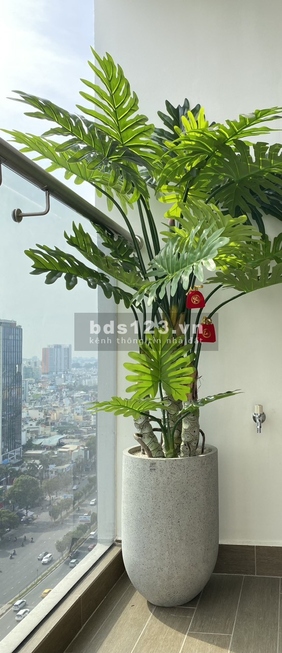 Cần cho thuê căn hộ Park View Residence (cao ốc 152 điện biên phủ)cho thuê 2-3-4pn. LH: 0888662828