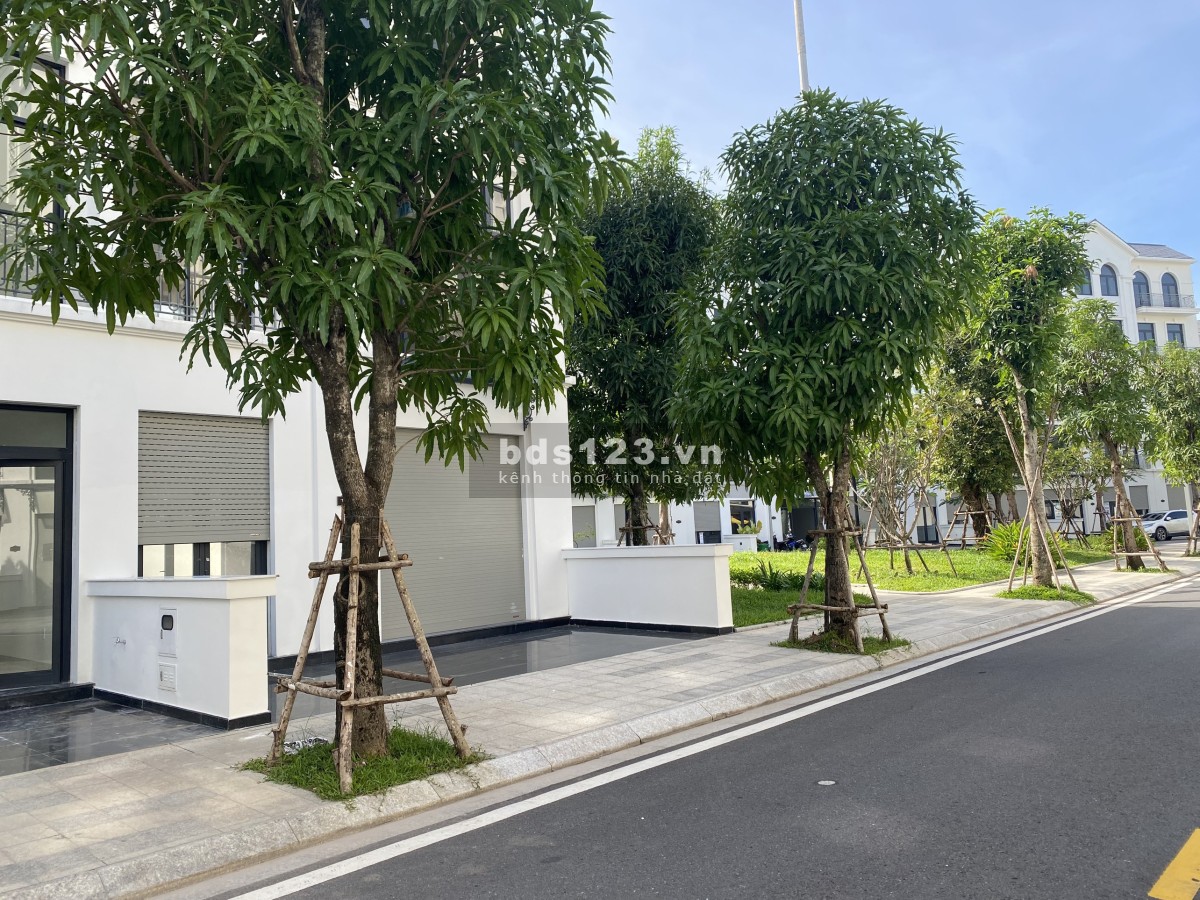 126m2 vị trí đẹp trong Vinhomes gần công viên, chợ đêm, trường Vinschool tiện kinh doanh, văn phòng