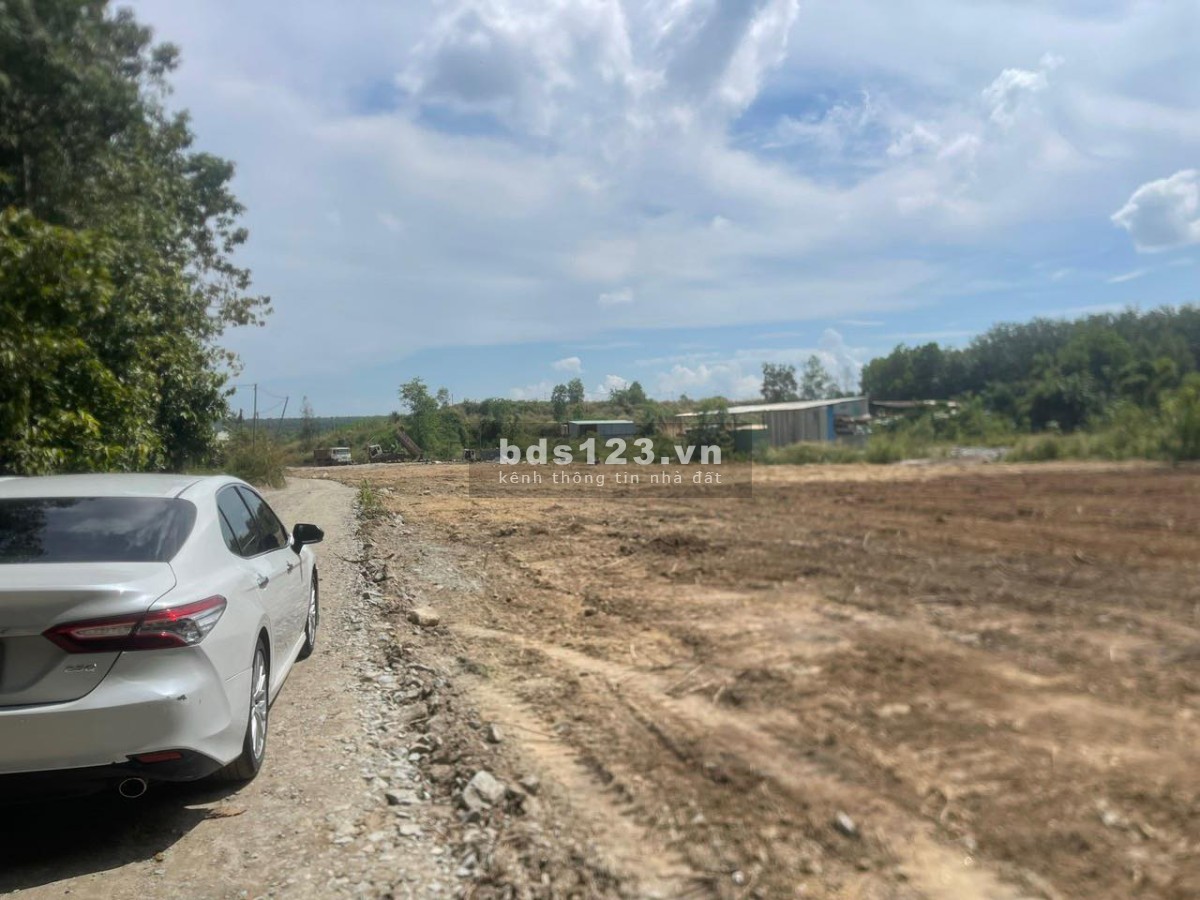Chính chủ bán lô đất Phú Giáo giá rẻ